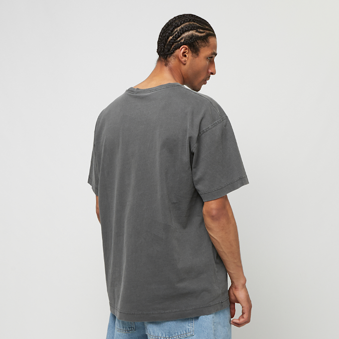 Carhartt WIP Shortsleeve Nelson T-Shirt grigio 33315 2