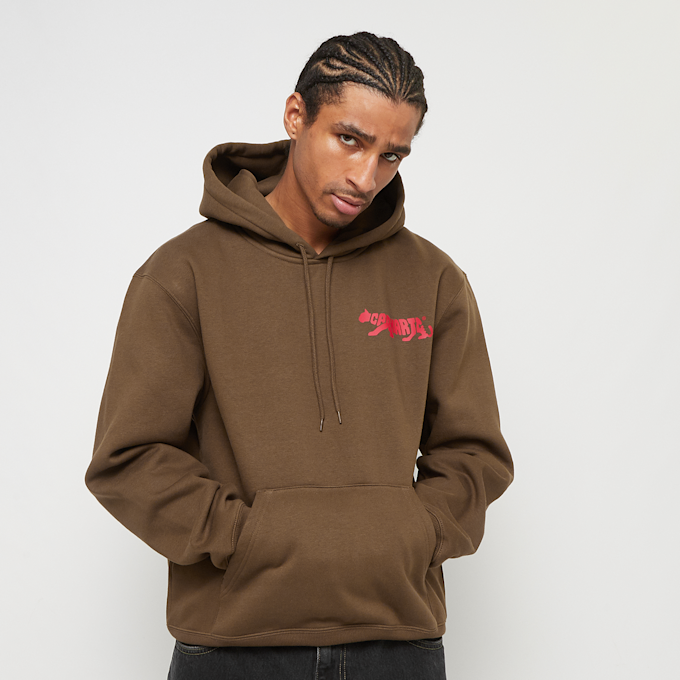 Carhartt WIP Hooded Rocky Script Sweatshirt brun 33328 2
