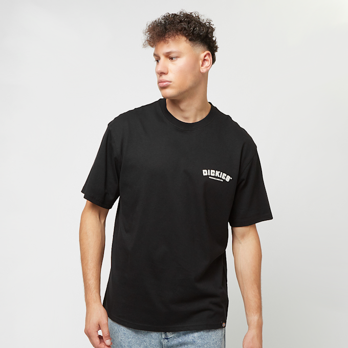 Dickies Builder Tee Shortsleeve schwarz 42888 2
