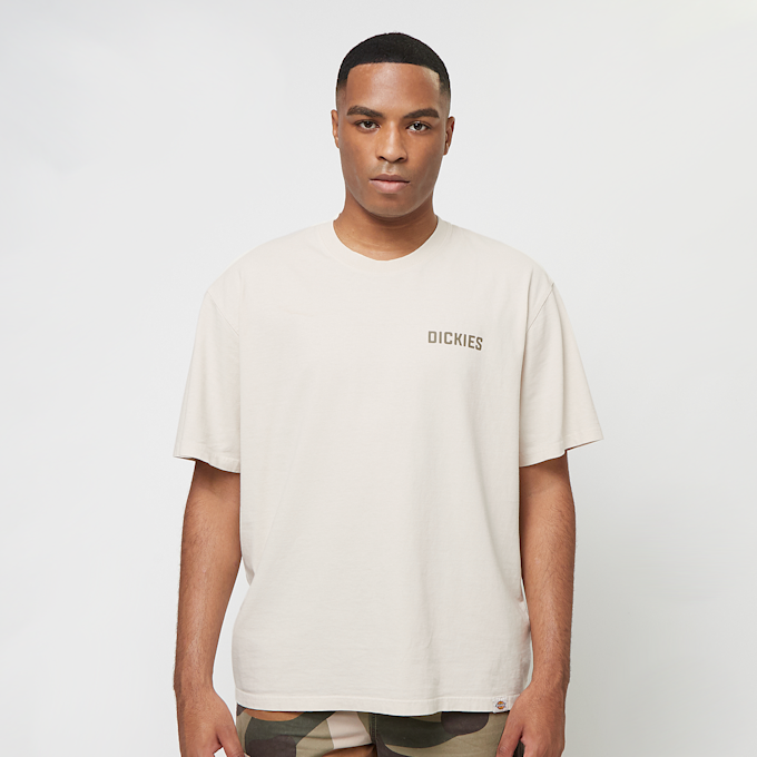 Dickies High Flying Workwear Tee SS beż 45577 2