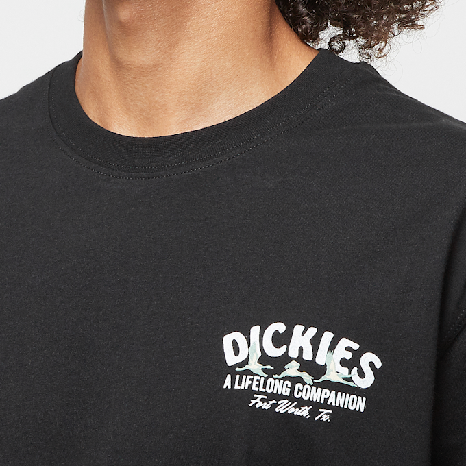 Dickies Companion Tee Short Sleeve crna 45565 3