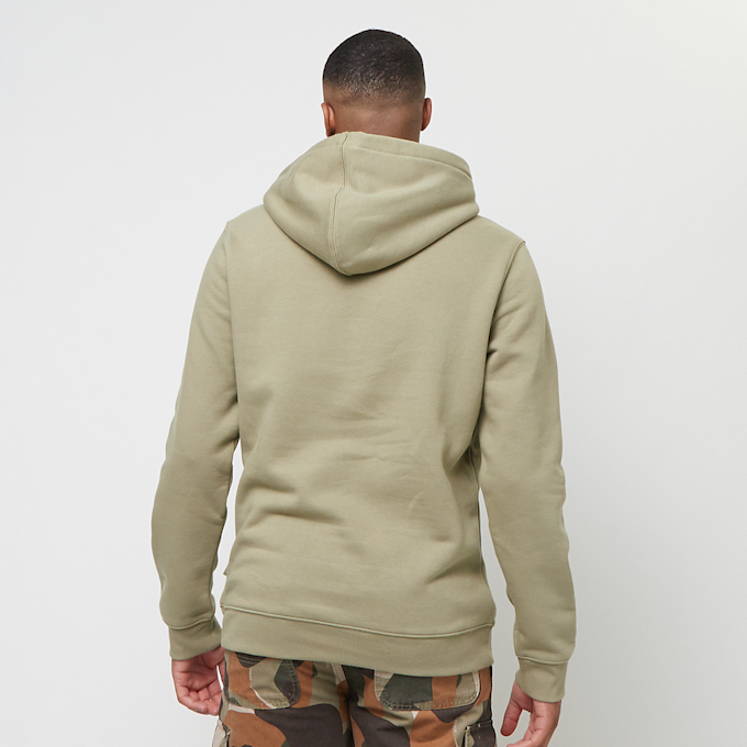 Dickies Oakport Hoodie grün 44400 2