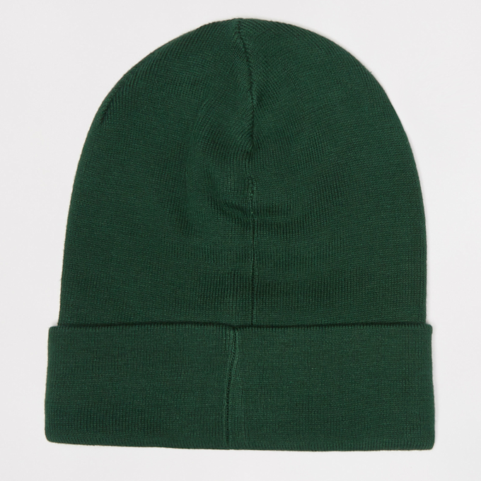Polo Ralph Lauren Cold Weather Hat zelena 45493 2