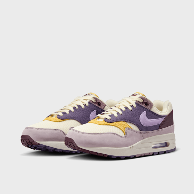 Nike WMNS Air Max 1 '87 multicolor 43453 4