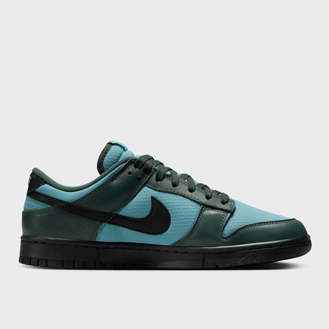 Nike Dunk Low Retro SE multicolor 40040 2