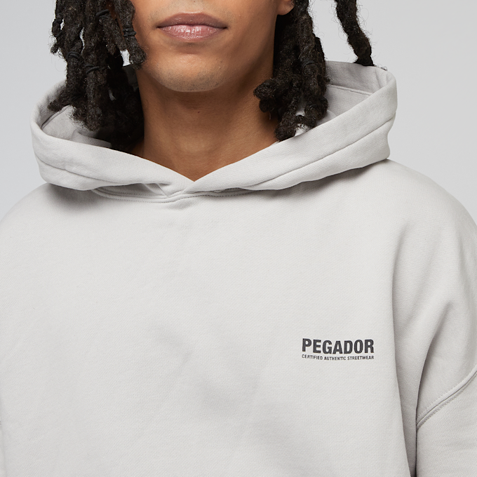 Pegador Clinton Oversized Hoodie siva 40567 3
