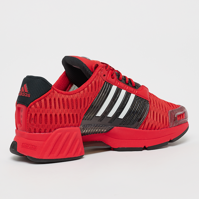 adidas Originals Climacool 1 Sneaker czerwony 42046 3