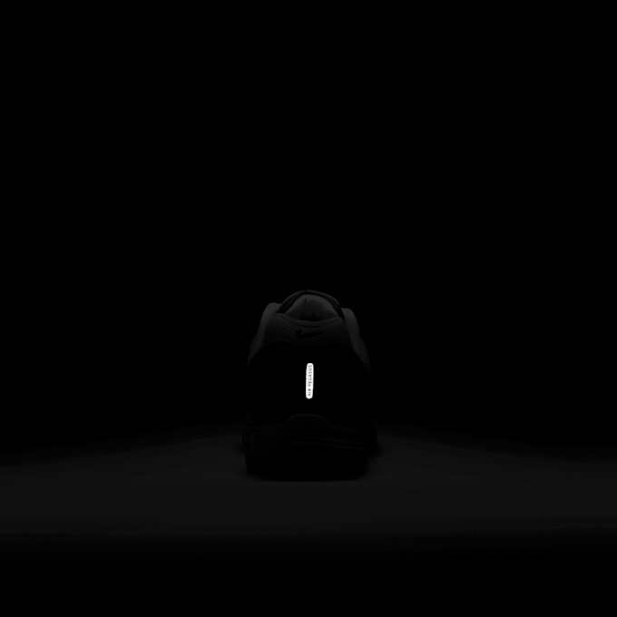 Nike Air Pegasus 2005 szary 42609 9