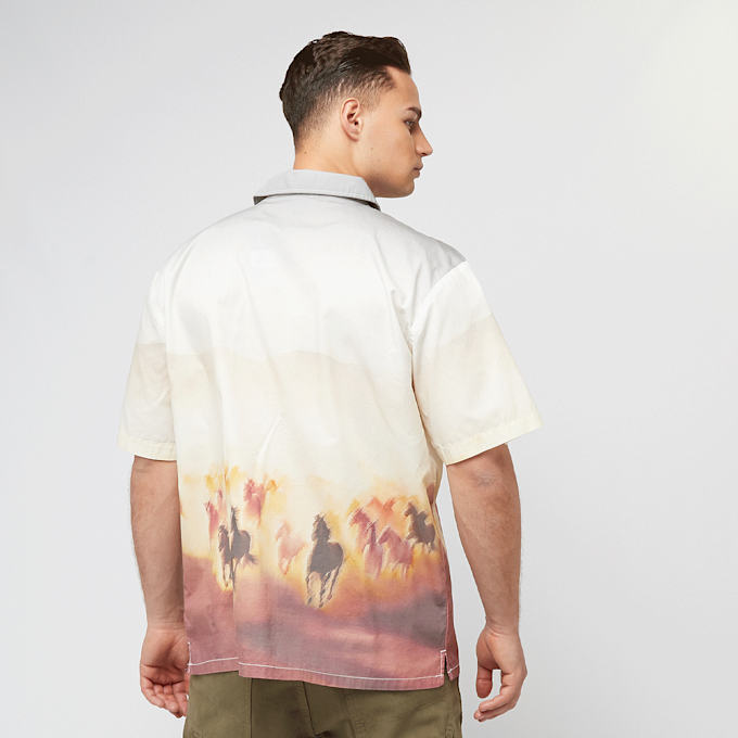 Dickies Running Wild Shortsleeve Shirt wielokolorowy 44695 2