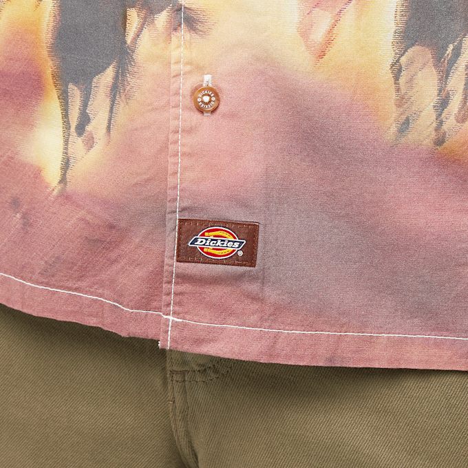 Dickies Running Wild Shortsleeve Shirt wielokolorowy 44695 3