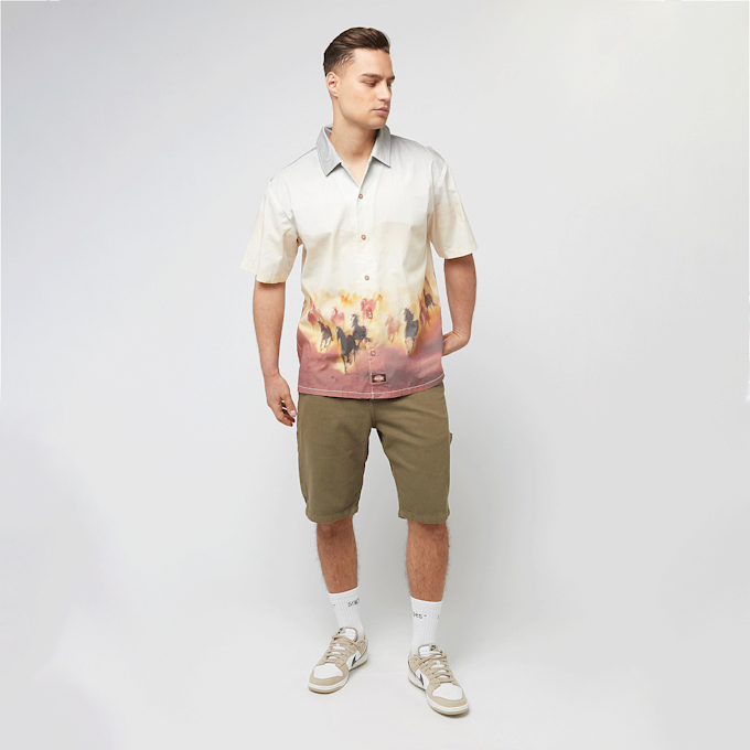 Dickies Running Wild Shortsleeve Shirt wielokolorowy 44695 4