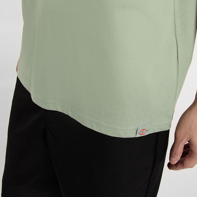 Dickies Snake Tee verde 44656 4