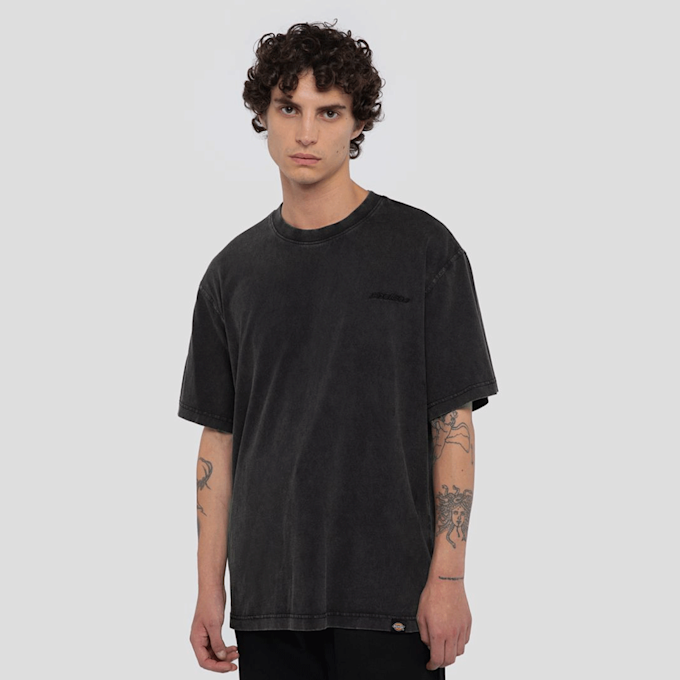 Dickies Plentywood Tee Short Sleeve grigio 44688 1