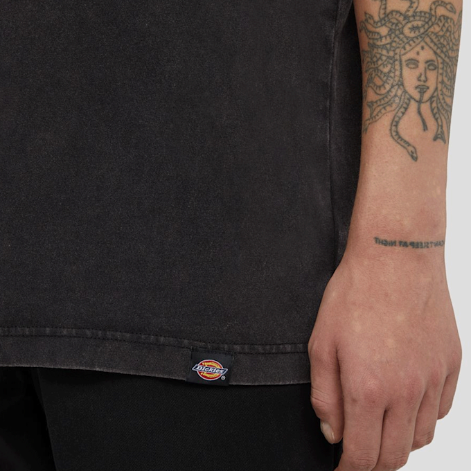 Dickies Plentywood Tee Short Sleeve siva 44688 4