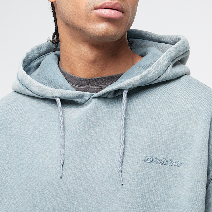 Dickies Plentywood Hoodie blauw 44768 3