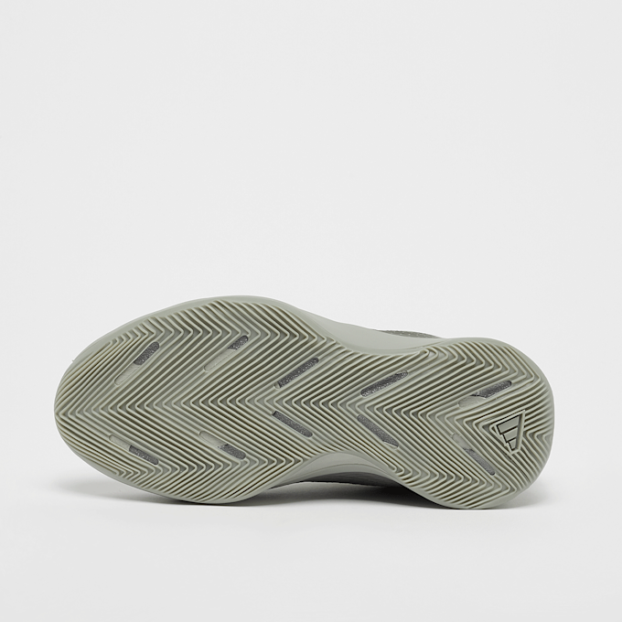 adidas Originals A.E. 1 J Low (GS) grau 45191 4