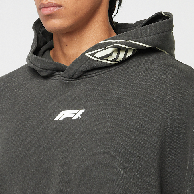 PUMA F1 Hoodie siva 45198 3