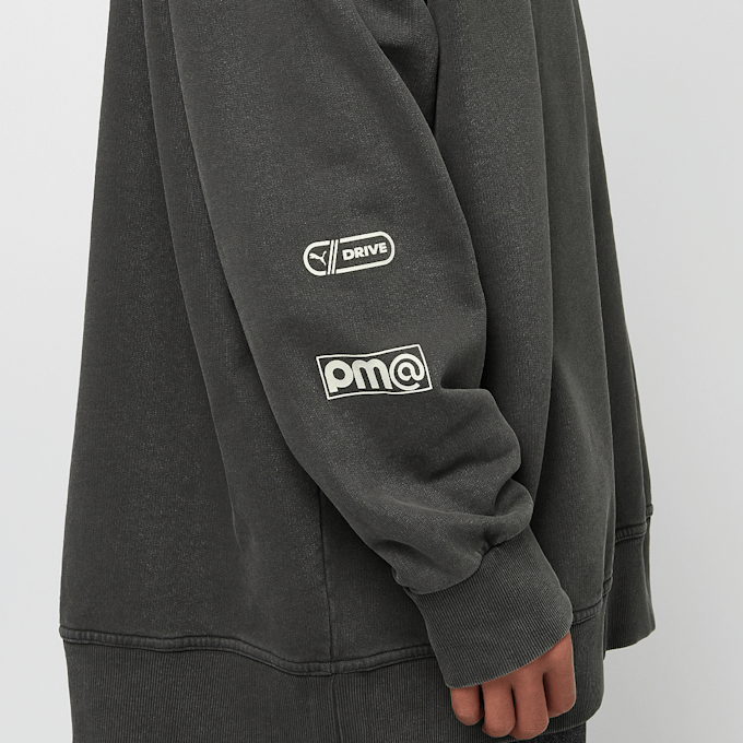 PUMA F1 Hoodie cinzento 45198 5