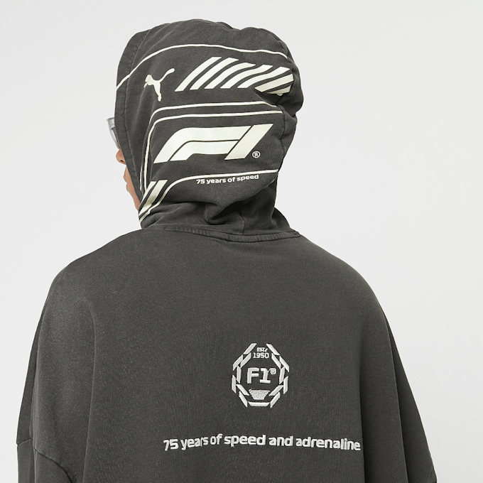 PUMA F1 Hoodie siva 45198 6