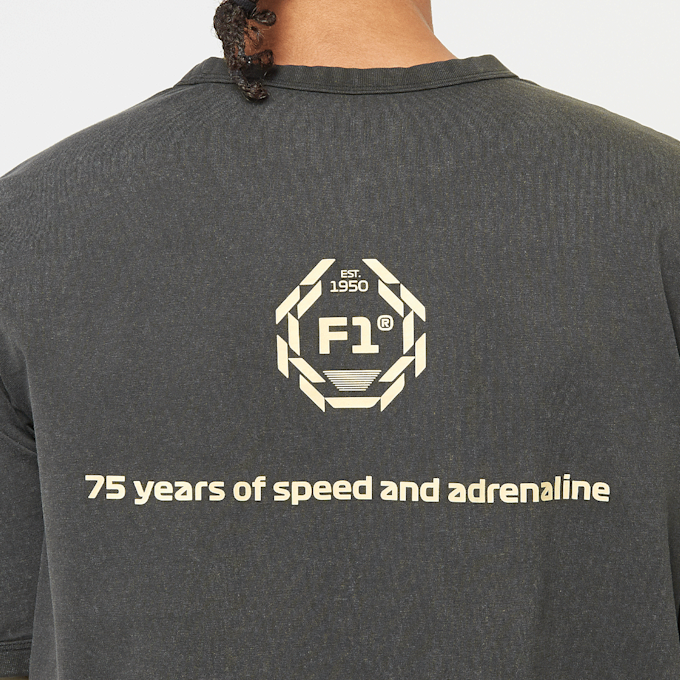 PUMA F1 Graphic Ringer Tee szary 45208 6