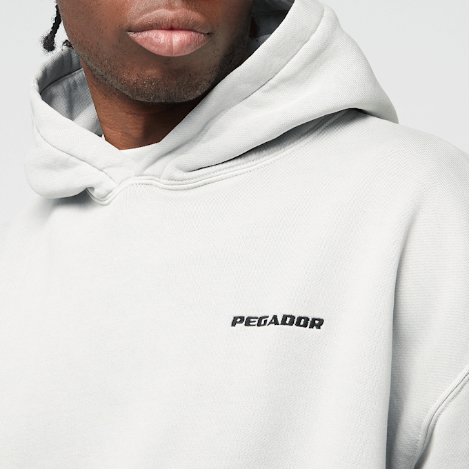 Pegador Logo Oversized Hoodie siva 45763 3