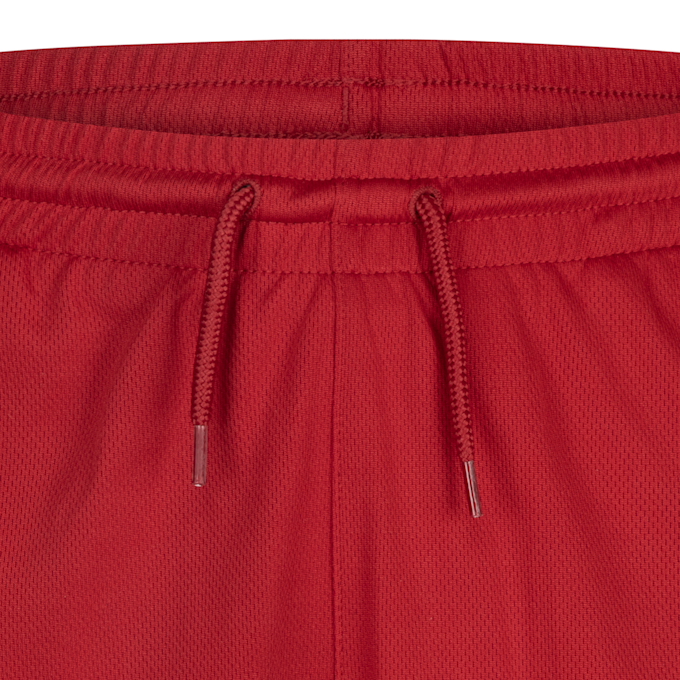 Jordan Baseline Mesh Short rouge 45873 3