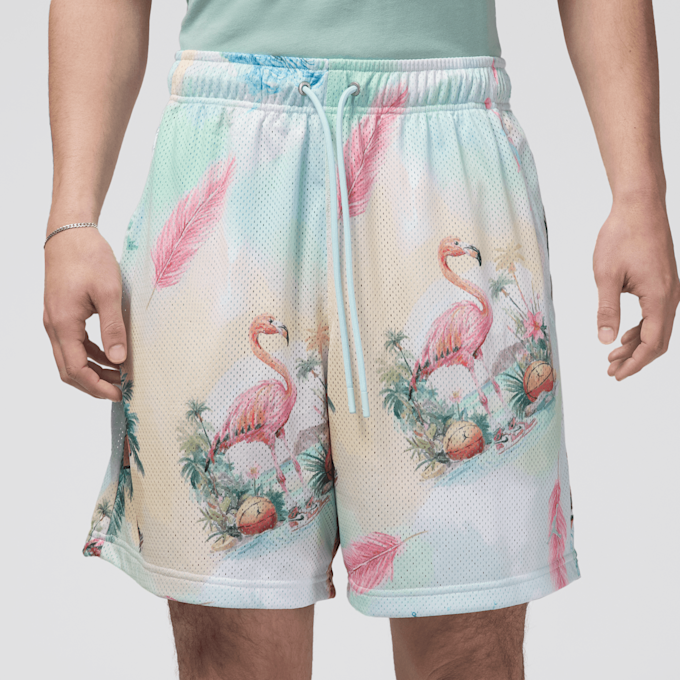 Jordan Essentials All Over Print Mesh-Shorts multicolor 46877 3