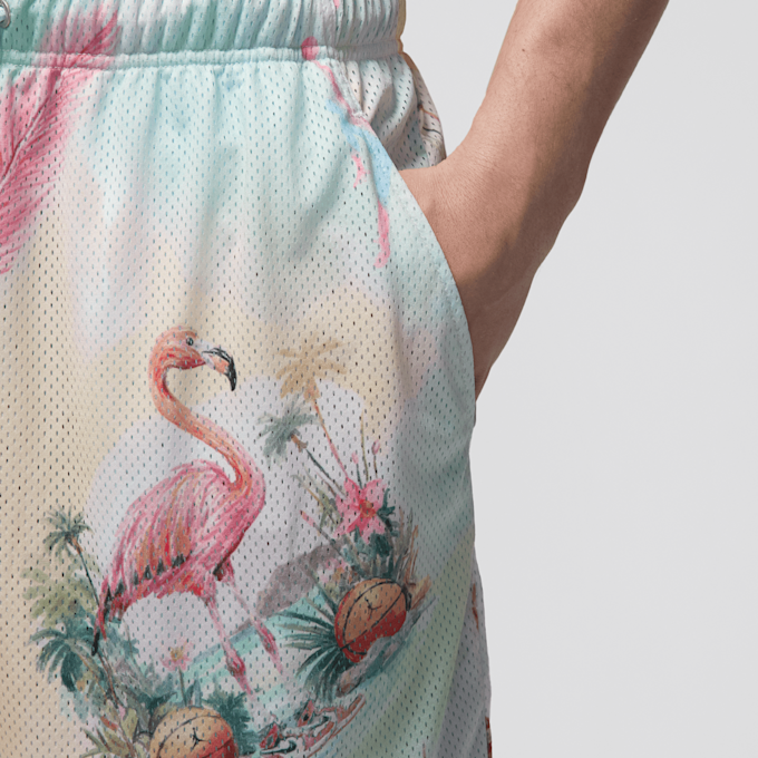 Jordan Essentials All Over Print Mesh-Shorts višebojno 46877 4