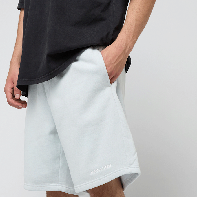 Pegador Logo Heavy Sweat Shorts bleu 46933 3