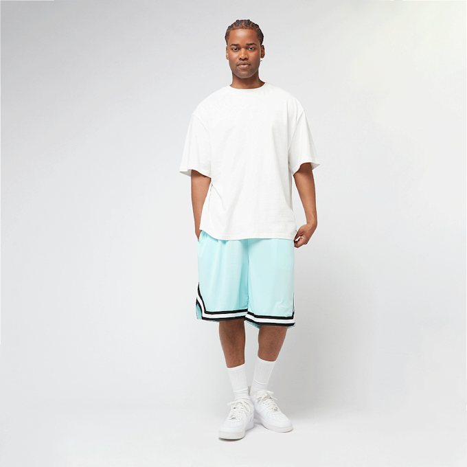 Karl Kani Small Signature Essential Mesh Shorts turkoois 47359 4