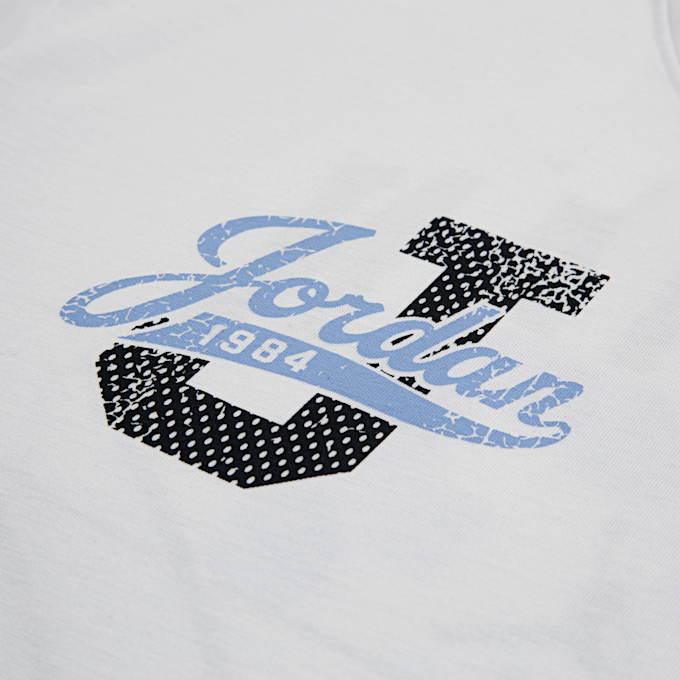 Jordan Distressed Colligiate wit 48420 4