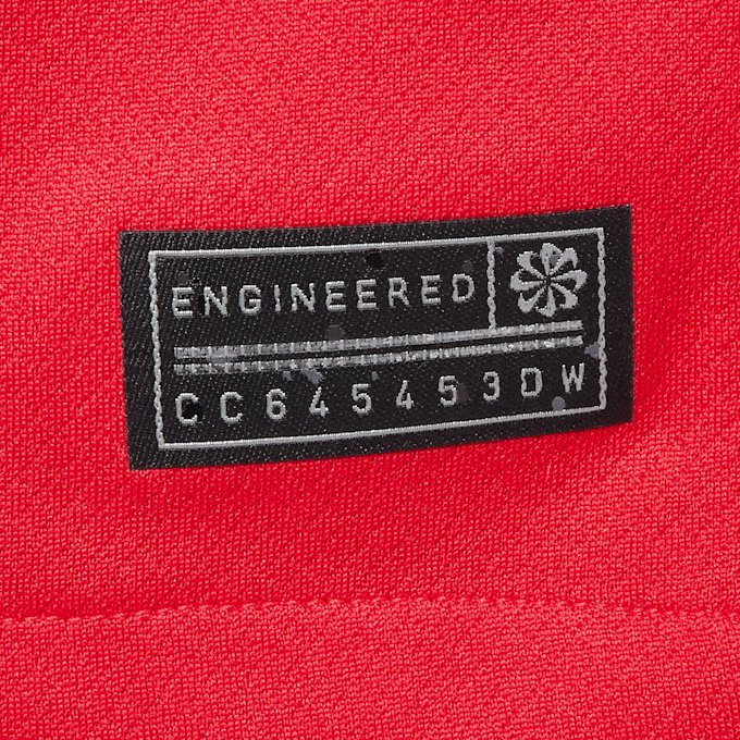 Nike Paris Saint-Germain 2025/2026 Stadium Third rouge 48785 4