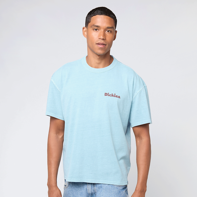 Dickies Slayden GD Shortsleeve Tee bleu 48999 2