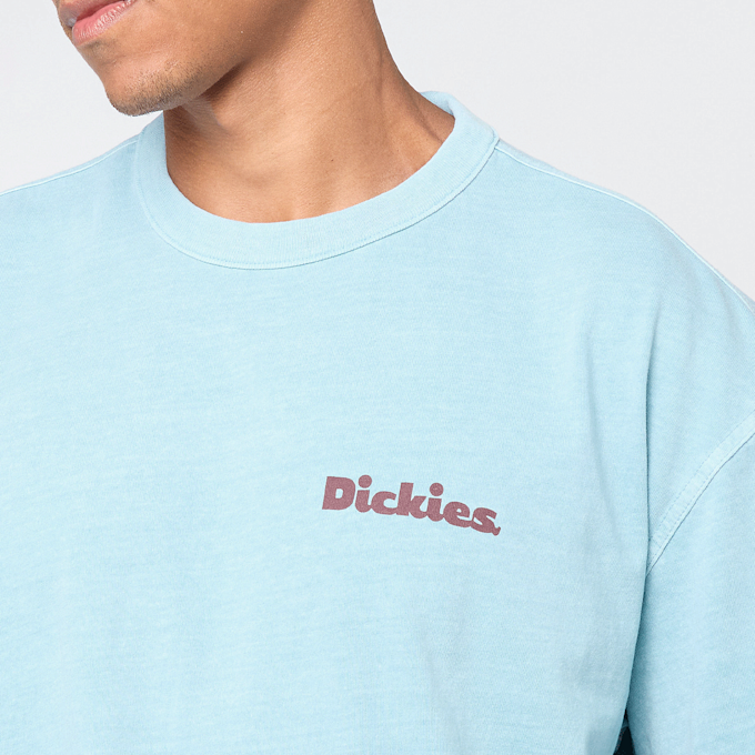 Dickies Slayden GD Shortsleeve Tee plava 48999 3