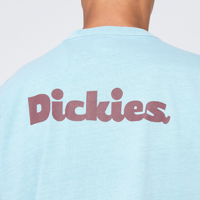 Dickies Slayden GD Shortsleeve Tee blau 48999 4