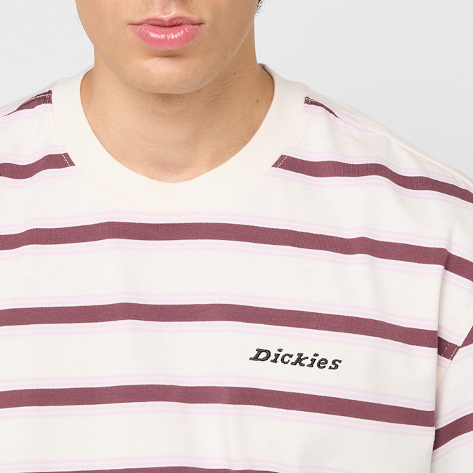 Dickies York Stripe Short Sleeve Tee beige 49019 3