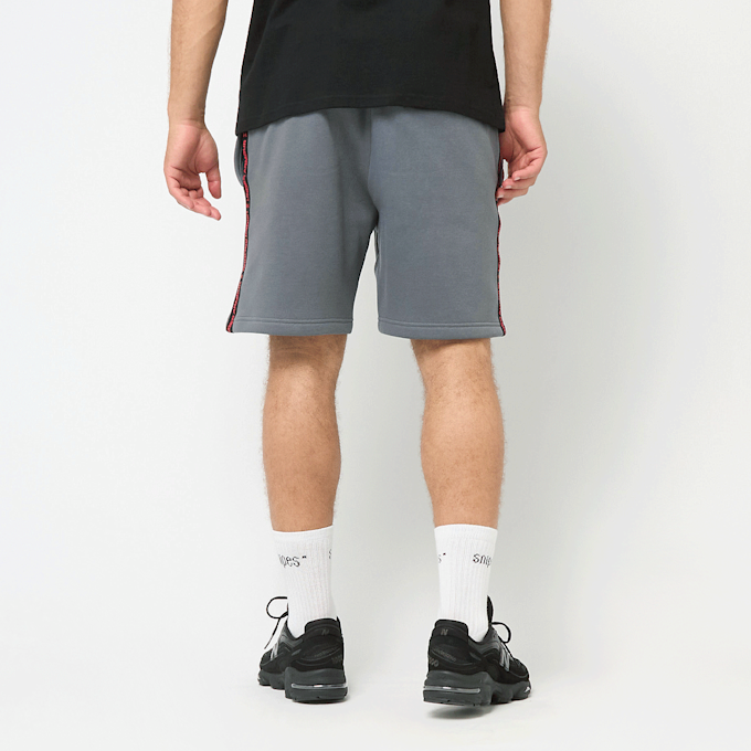 Under Armour Icon Fleece Short Taping cinzento 49185 2