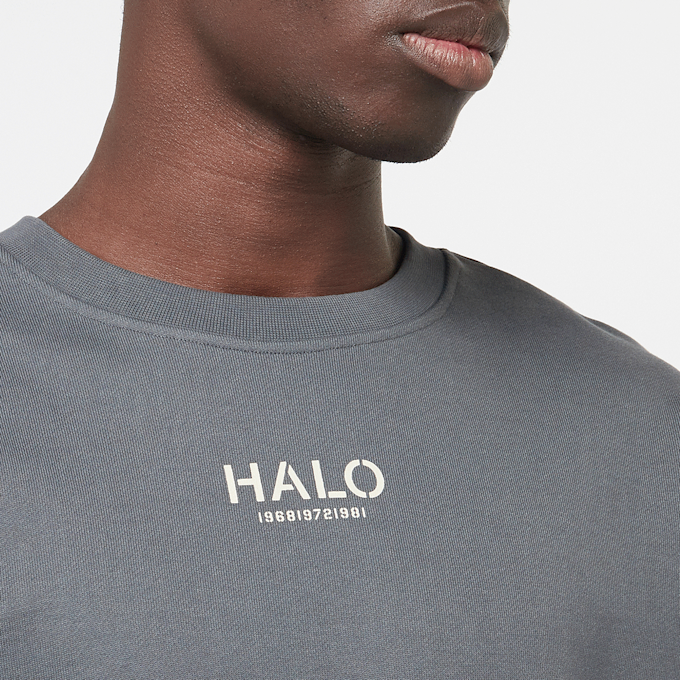 HALO Graphic Boxy Crew szary 85907 3