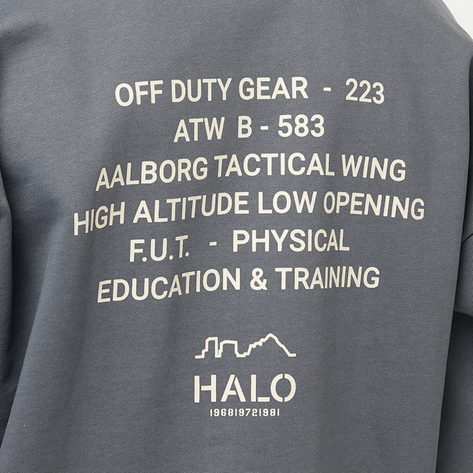 HALO Graphic Boxy Crew grigio 85907 4