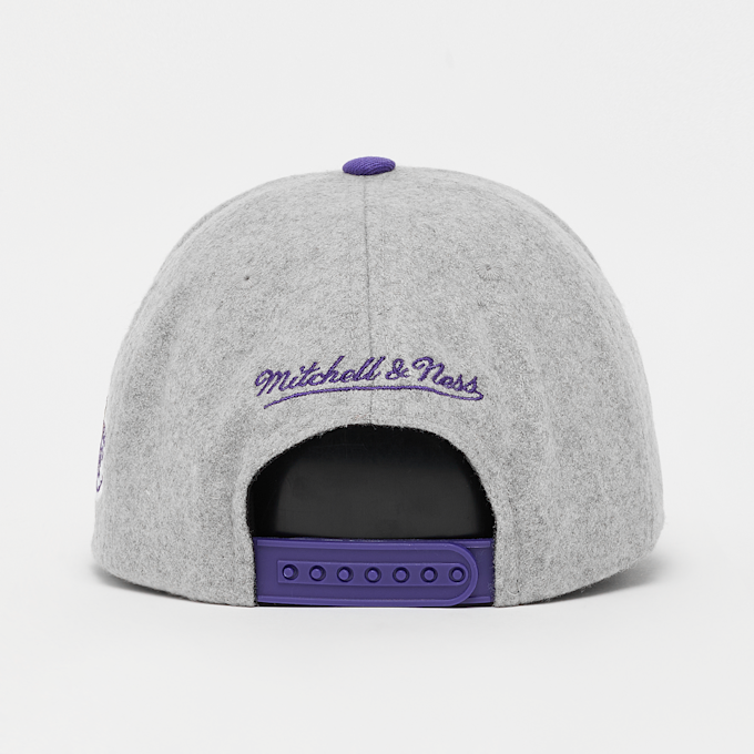Mitchell & Ness Tailsweeps Pro Snapback NBA Los Angeles Lakers grau 92336 2