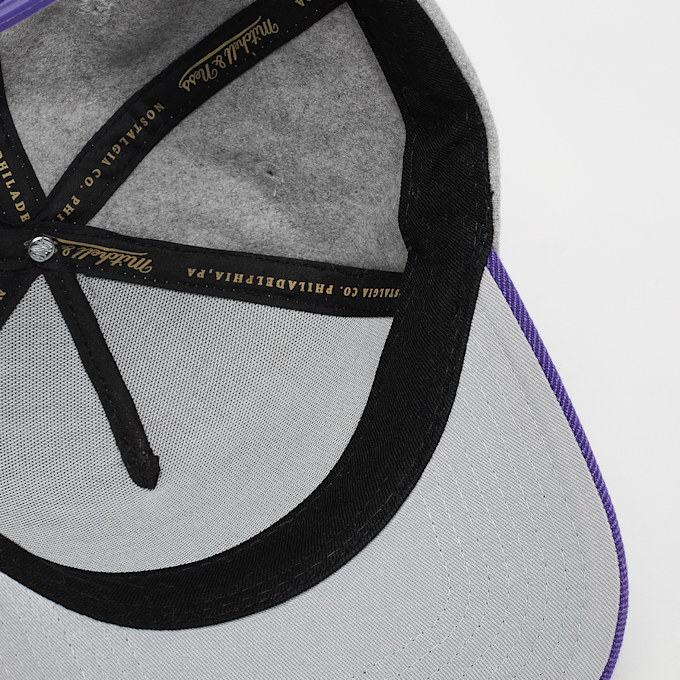 Mitchell & Ness Tailsweeps Pro Snapback NBA Los Angeles Lakers gris 92336 3