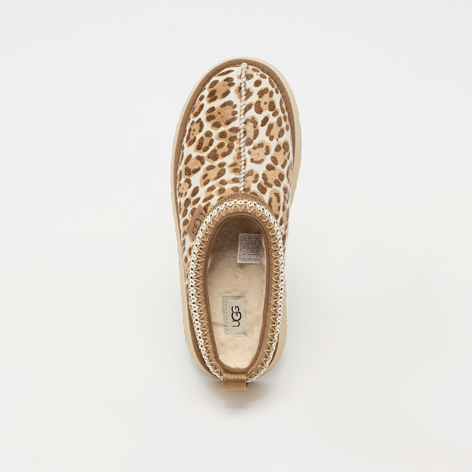 UGG Tazz Plains višebojno 94229 5