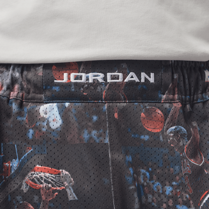 Jordan Flight Printed Cat Scratch Shorts multicolore 94793 3