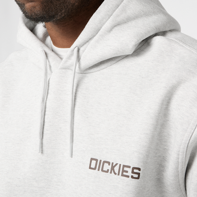 Dickies Payson Hoodie cinzento 94932 4