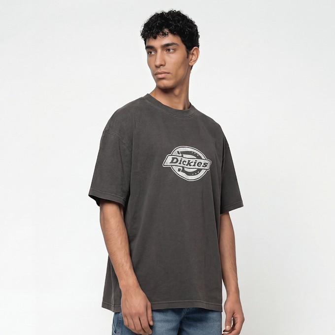 Dickies Plainville Shortsleeve Tee siva 94940 1