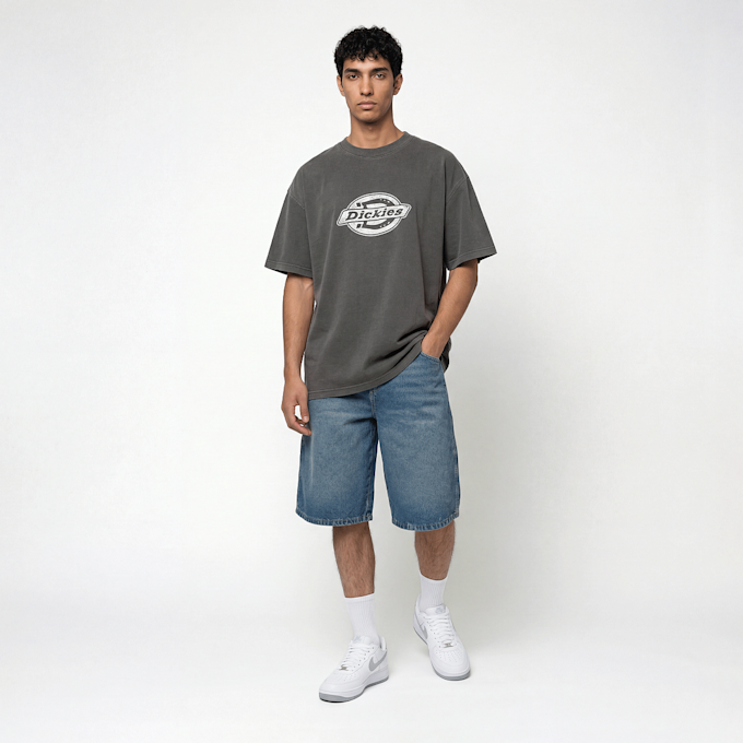 Dickies Plainville Shortsleeve Tee siva 94940 4