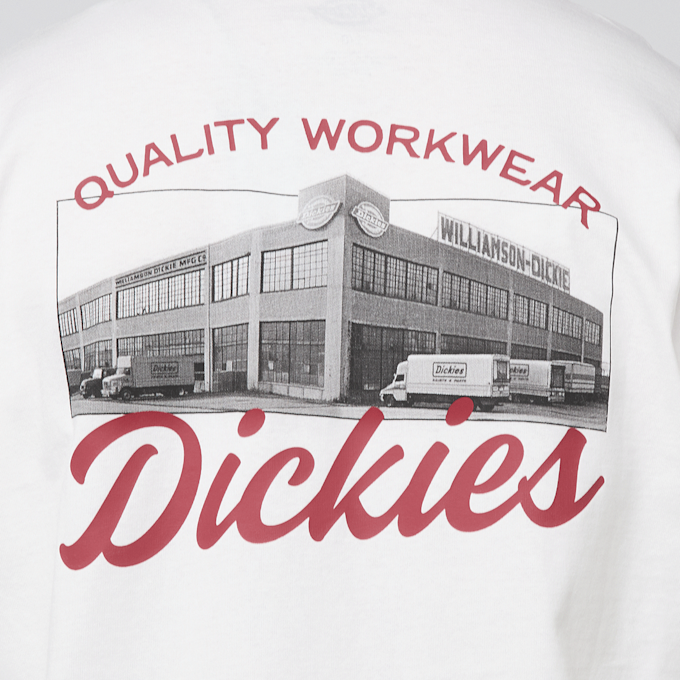 Dickies Wellsville Shortsleeve Tee biały 94949 3
