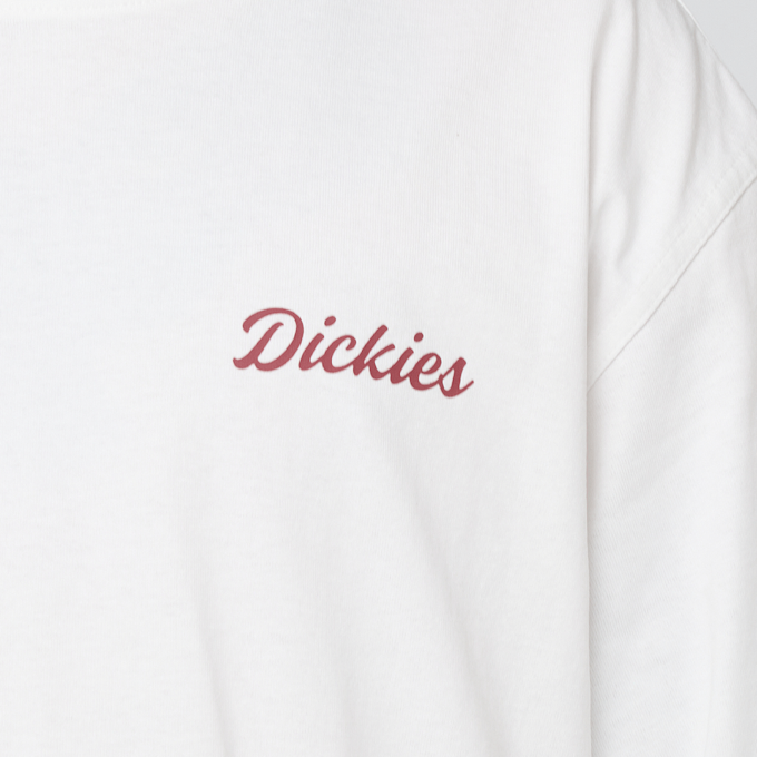 Dickies Wellsville Shortsleeve Tee biały 94949 4