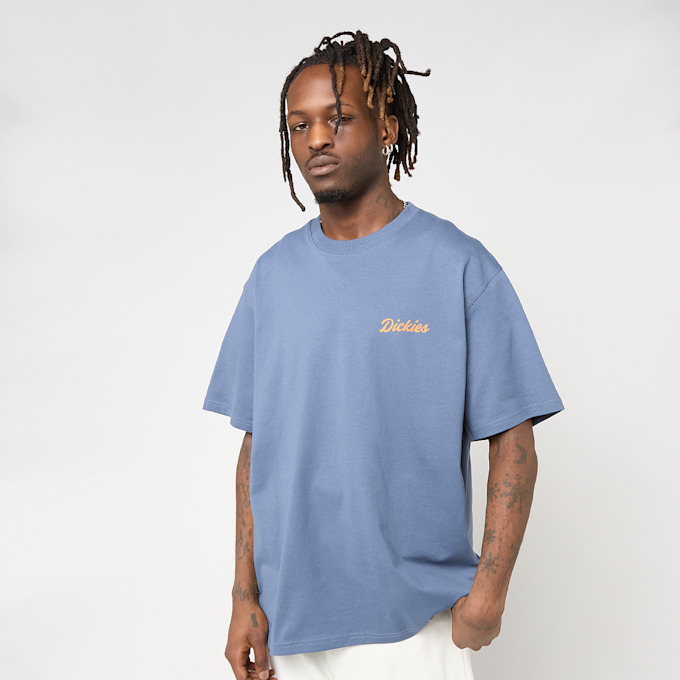 Dickies Wellsville Short Sleeve Tee niebieski 94946 2