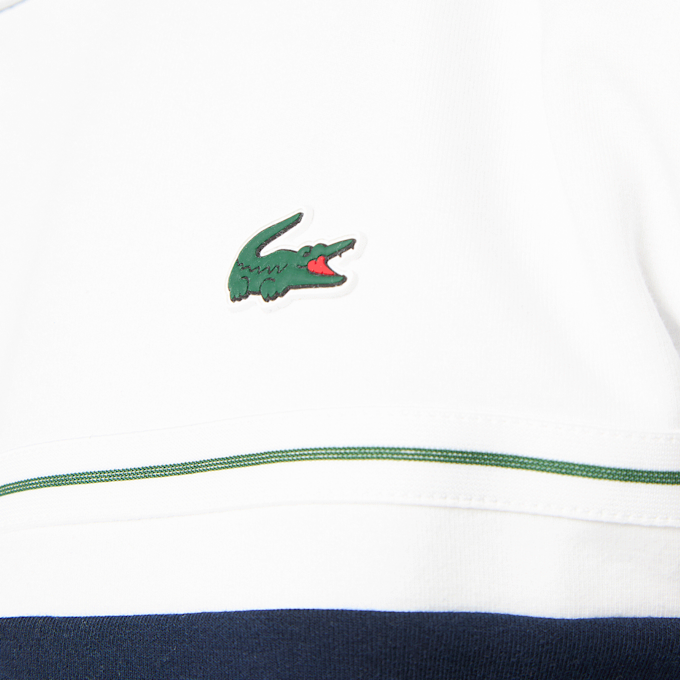 Lacoste Sweatshirts blu 95301 3